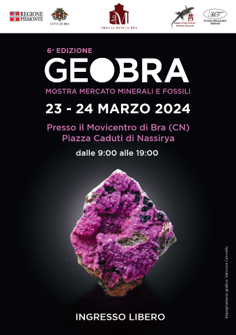 I minerali di GeoBra alla sesta edizione 
