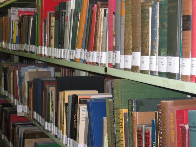 Nati per Leggere: “Storie in blu “ nella biblioteca di Bra