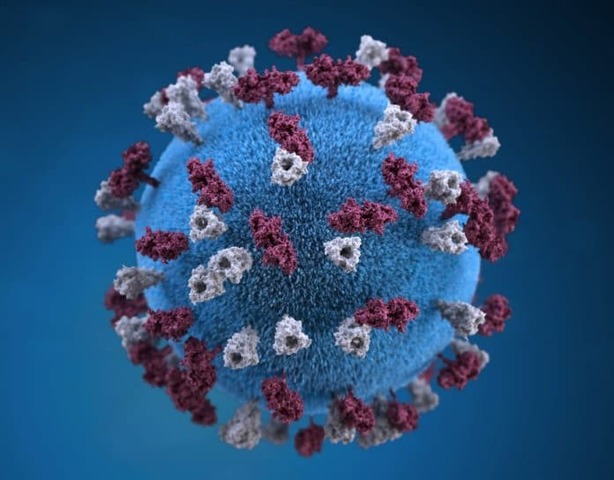 Emergenza Coronavirus. Aggiornamento contagi Bra - 11.09.2020