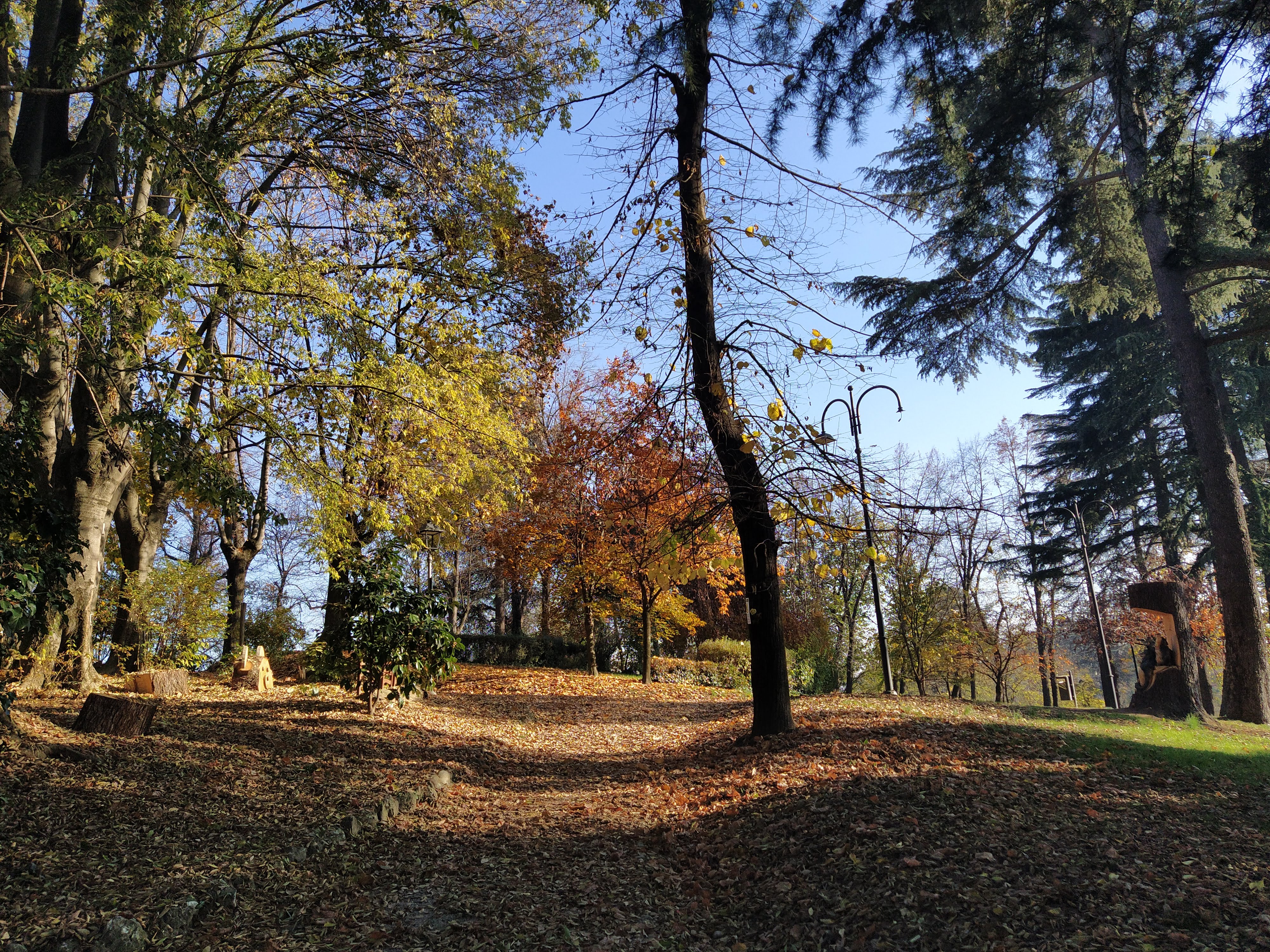 Bra: oltre 70 nuovi alberi in città per la lotta ai cambiamenti climatici e all’inquinamento
