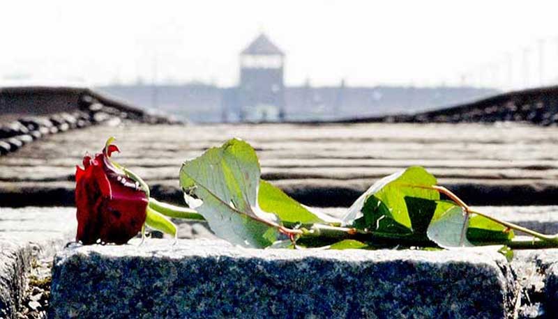 Giornata della Memoria: la diretta streaming, per non dimenticare