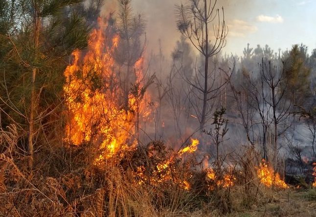 Massima pericolosità per incendi boschivi su tutto il Piemonte