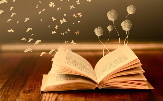 “Into the books”: incontri (on line) con gli autori per i giovani lettori braidesi