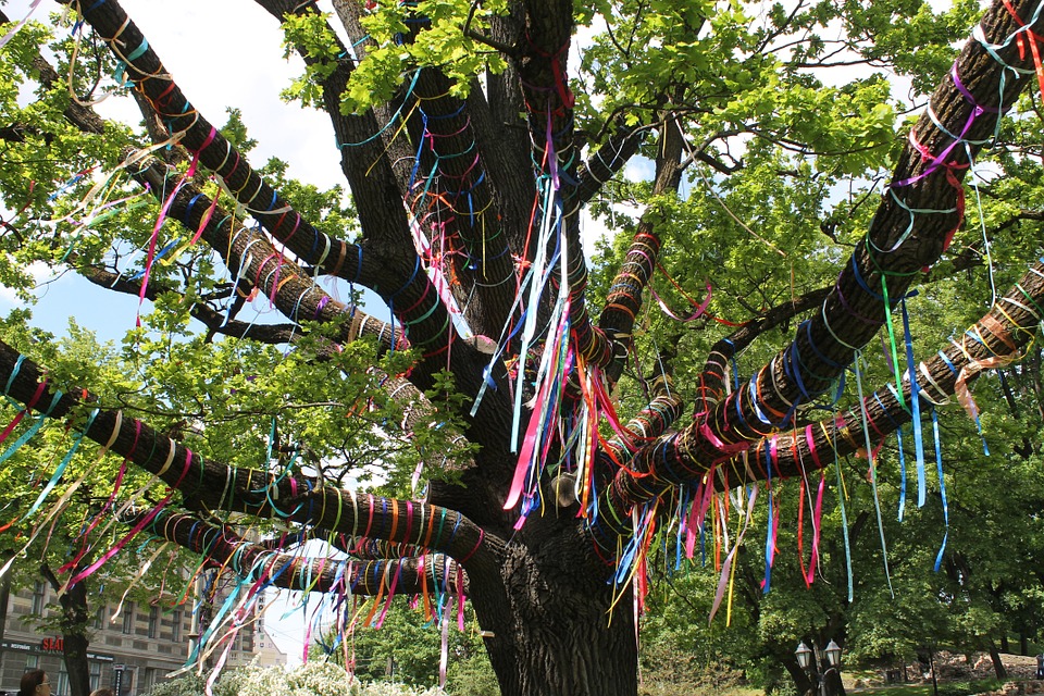 Bra, due alberi a rischio di schianto: disposto l’abbattimento